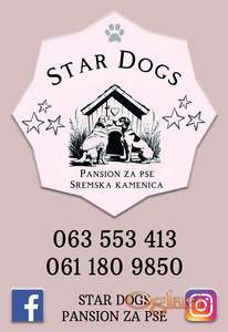 STAR DOGS pansion za pse